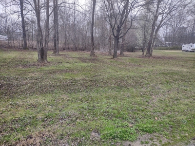Land for Sale in Decatur County, Tennessee - image 12