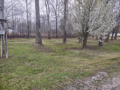 Land for Sale in Decatur County, Tennessee - image 7