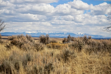 240 acres of land in southwest Colorado - image 11