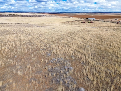 240 acres of land in southwest Colorado - image 17