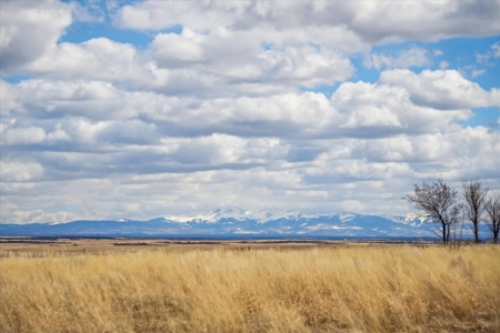 240 acres of land in southwest Colorado - image 10