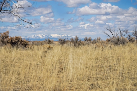240 acres of land in southwest Colorado - image 8