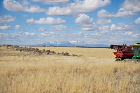 240 acres of land in southwest Colorado - image 4