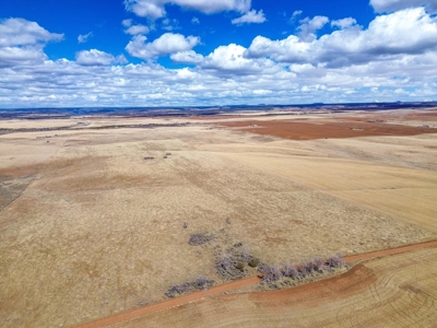 240 acres of land in southwest Colorado - image 25