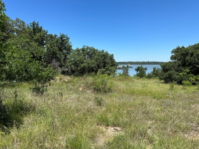 Lakefront Lot 96 The Hideout Golf Course Lake Brownwood, TX - image 38