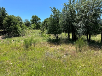 Lakefront Lot 96 The Hideout Golf Course Lake Brownwood, TX - image 37