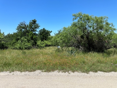 Lakefront Lot 96 The Hideout Golf Course Lake Brownwood, TX - image 34