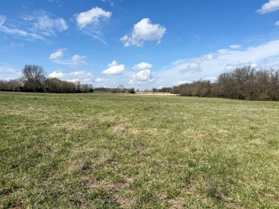Cedar County Missouri Country Home on 40 Acres for Sale - image 43