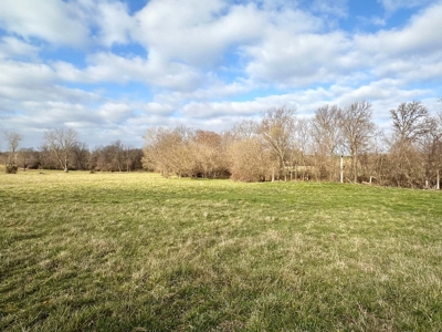Cedar County Missouri Country Home on 40 Acres for Sale - image 46