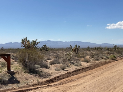 80 Acres of Western AZ Land for Sale with Mineral rights - image 11