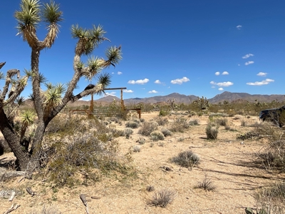 80 Acres of Western AZ Land for Sale with Mineral rights - image 4