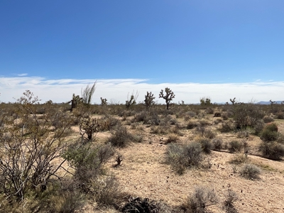 80 Acres of Western AZ Land for Sale with Mineral rights - image 7