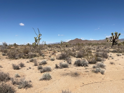 80 Acres of Western AZ Land for Sale with Mineral rights - image 5
