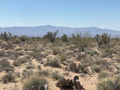 80 Acres of Western AZ Land for Sale with Mineral rights - image 2