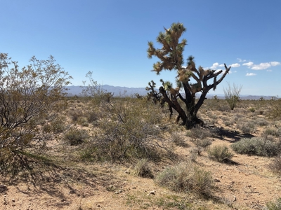 80 Acres of Western AZ Land for Sale with Mineral rights - image 1