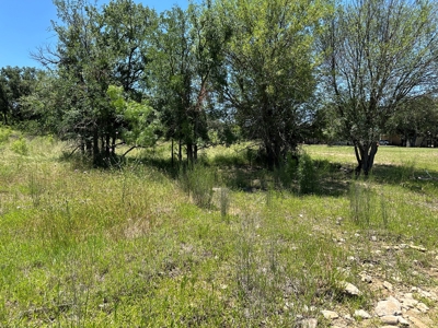Lakefront Lots 96 97 Hideout Golf Course Lake Brownwood, TX - image 36