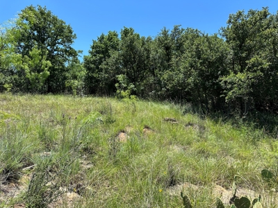 Lakefront Lots 96 97 Hideout Golf Course Lake Brownwood, TX - image 33