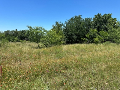Lakefront Lots 96 97 Hideout Golf Course Lake Brownwood, TX - image 28