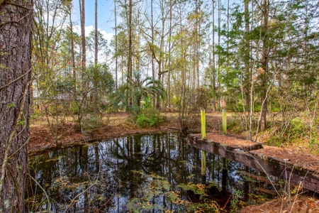 Ranch Style Home On 2 + Acres, No Flood Zone, No Hoa!! - image 7