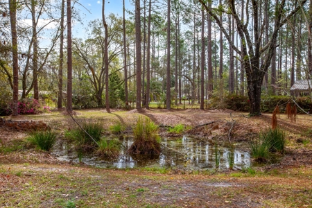Ranch Style Home On 2 + Acres, No Flood Zone, No Hoa!! - image 2