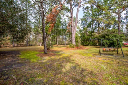 Ranch Style Home On 2 + Acres, No Flood Zone, No Hoa!! - image 6
