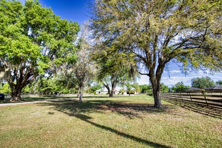 4 BR 3 BA home on 10+ acres in Arcadia, FL! - image 3