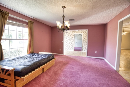 4 BR 3 BA home on 10+ acres in Arcadia, FL! - image 9