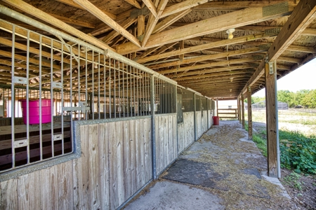4 BR 3 BA home on 10+ acres in Arcadia, FL! - image 29