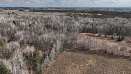 Prime Hunting Land for sale in Bayfield County, Wisconsin - image 29