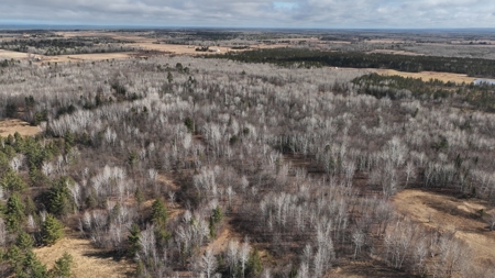 Prime Hunting Land for sale in Bayfield County, Wisconsin - image 6