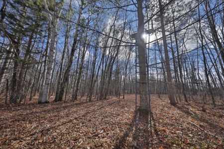 Prime Hunting Land for sale in Bayfield County, Wisconsin - image 16