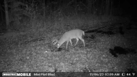 Prime Hunting Land for sale in Bayfield County, Wisconsin - image 34