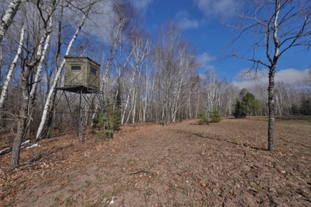 Prime Hunting Land for sale in Bayfield County, Wisconsin - image 1