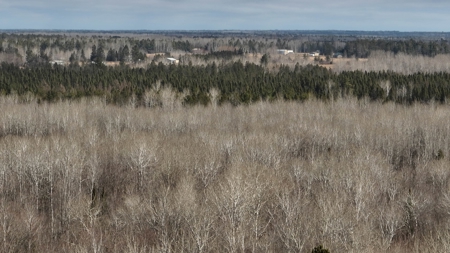 Prime Hunting Land for sale in Bayfield County, Wisconsin - image 33