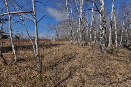 Prime Hunting Land for sale in Bayfield County, Wisconsin - image 12
