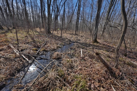 Prime Hunting Land for sale in Bayfield County, Wisconsin - image 25