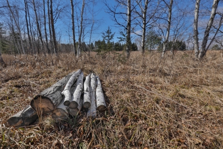 Prime Hunting Land for sale in Bayfield County, Wisconsin - image 11