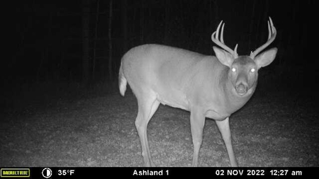 Prime Hunting Land for sale in Bayfield County, Wisconsin - image 41