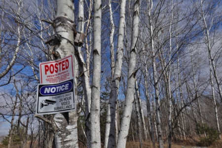 Prime Hunting Land for sale in Bayfield County, Wisconsin - image 14