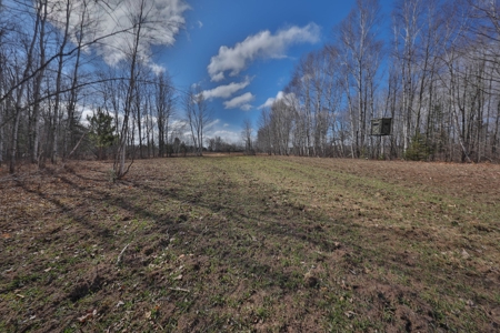 Prime Hunting Land for sale in Bayfield County, Wisconsin - image 2