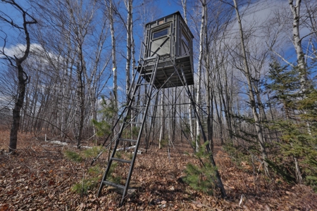 Prime Hunting Land for sale in Bayfield County, Wisconsin - image 22