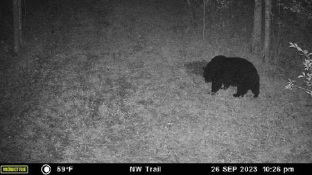 Prime Hunting Land for sale in Bayfield County, Wisconsin - image 21