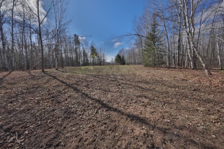 Prime Hunting Land for sale in Bayfield County, Wisconsin - image 24