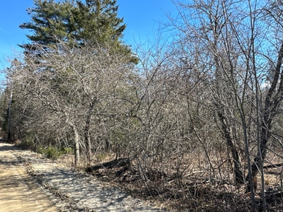 Nearly 50 acres on a Trout Stream - image 13