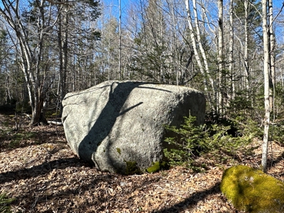 Nearly 50 acres on a Trout Stream - image 6