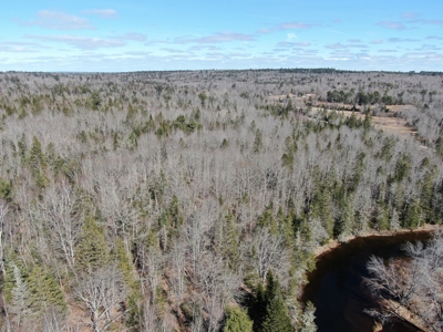 Nearly 50 acres on a Trout Stream - image 3