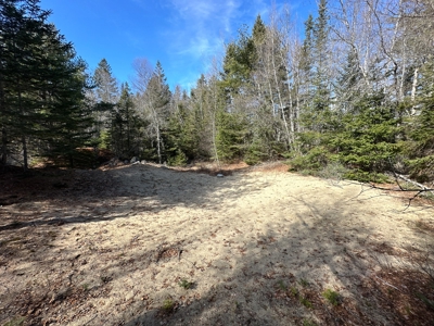 Nearly 50 acres on a Trout Stream - image 9