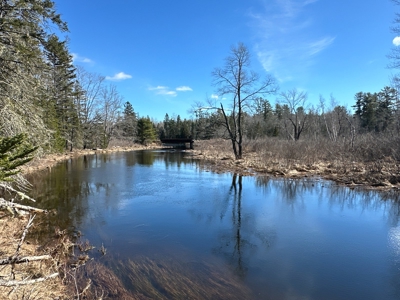 Nearly 50 acres on a Trout Stream - image 8