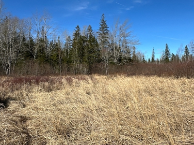 Nearly 50 acres on a Trout Stream - image 5