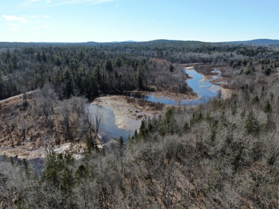 Nearly 50 acres on a Trout Stream - image 2